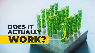 Is Vertical Farming the Future of Food?