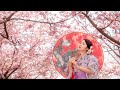 北国の春  水森かおり mp4