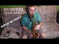 ЛЕСОПОВАЛ - Белый лебедь ( cover by Amigoiga sax )