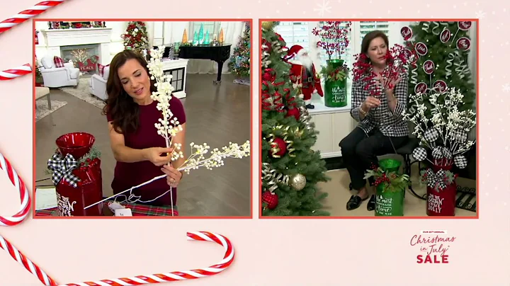 Set of 2 Illuminated Berry Sprays by Valerie on QVC