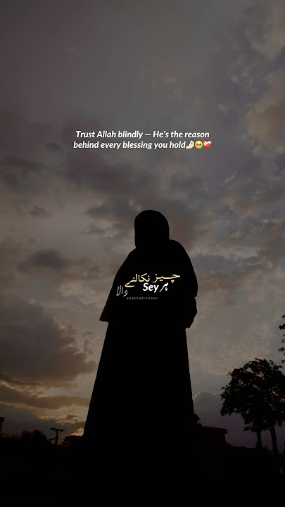 If You’re Tired of Struggling, Watch This… Aesthetic Deep lines | Trust Allah SWT