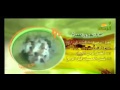 بدع الحج والعمرة قناة الرحمة 