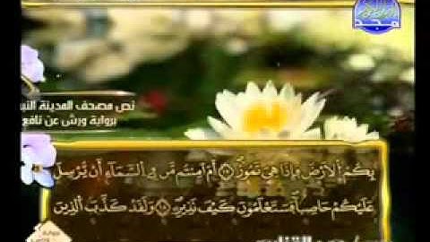 سورة الملك الشيخ عمر القزابري