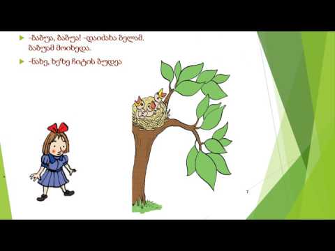 ბელა და ბლის ხე  - ანი ჩხიტუნიძე