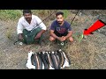 ഏഴു ചേറുമീൻ പ്ലാസ്റ്റിക് ഫ്രോഗിൽ | snakehead fishing Kerala part 5