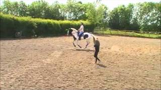 Guinness flatwork lesson 9th may 2011
