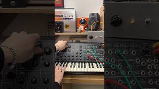 Type 636P preorders now open for the new year As seen on the pedal boards of Carlos O’Connell, Ed