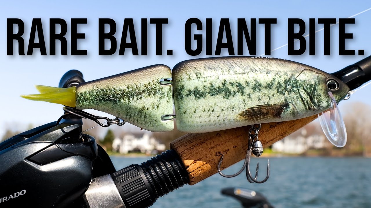 タイニージョーカー DRT】TiNY JOKER / タイニージョーカー POPPING（DRT BASS