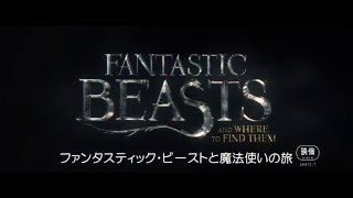 『ファンタスティック・ビーストと魔法使いの旅』特報
