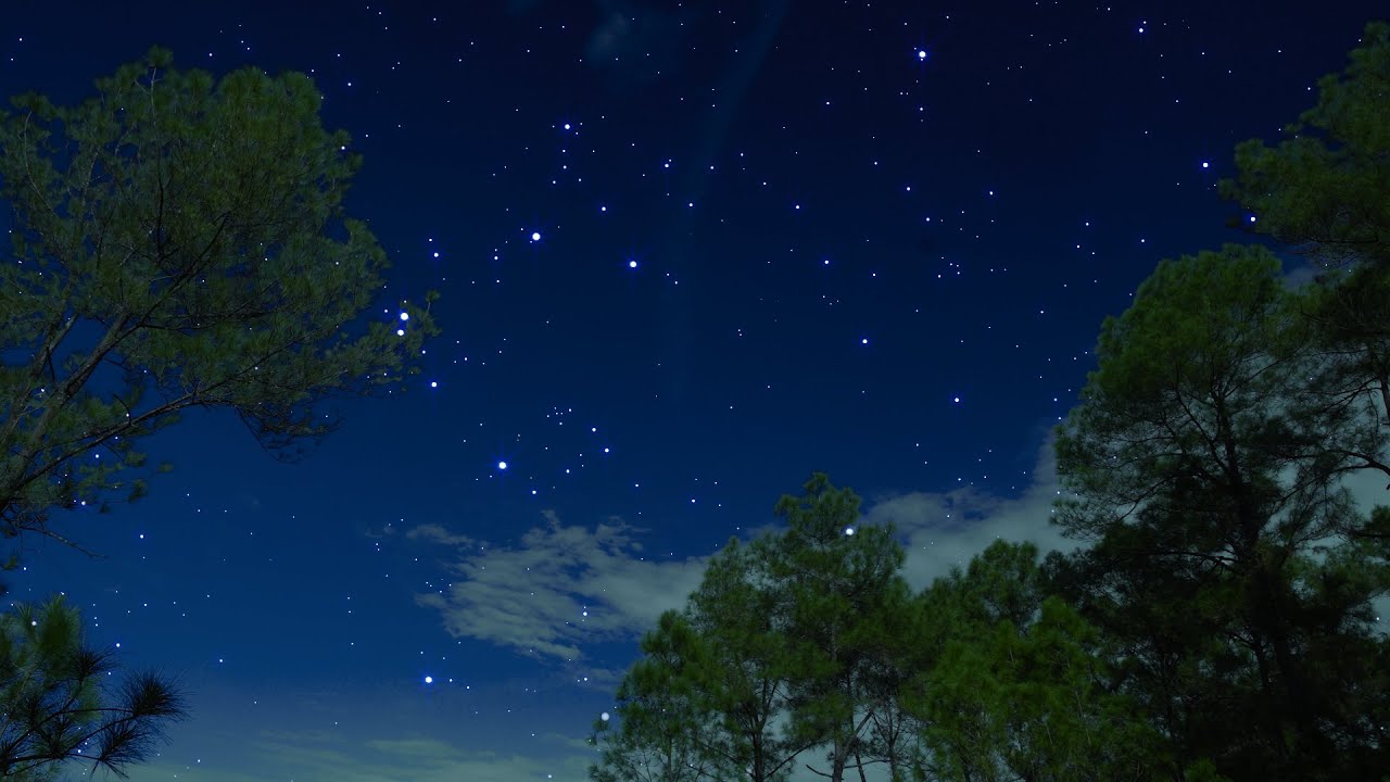 Crickets & Olws Under the Starry Night Sky | Nature Ambience for ...