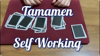 The Magical Cut Başlangıç Seviye Beginner Kart Numarası