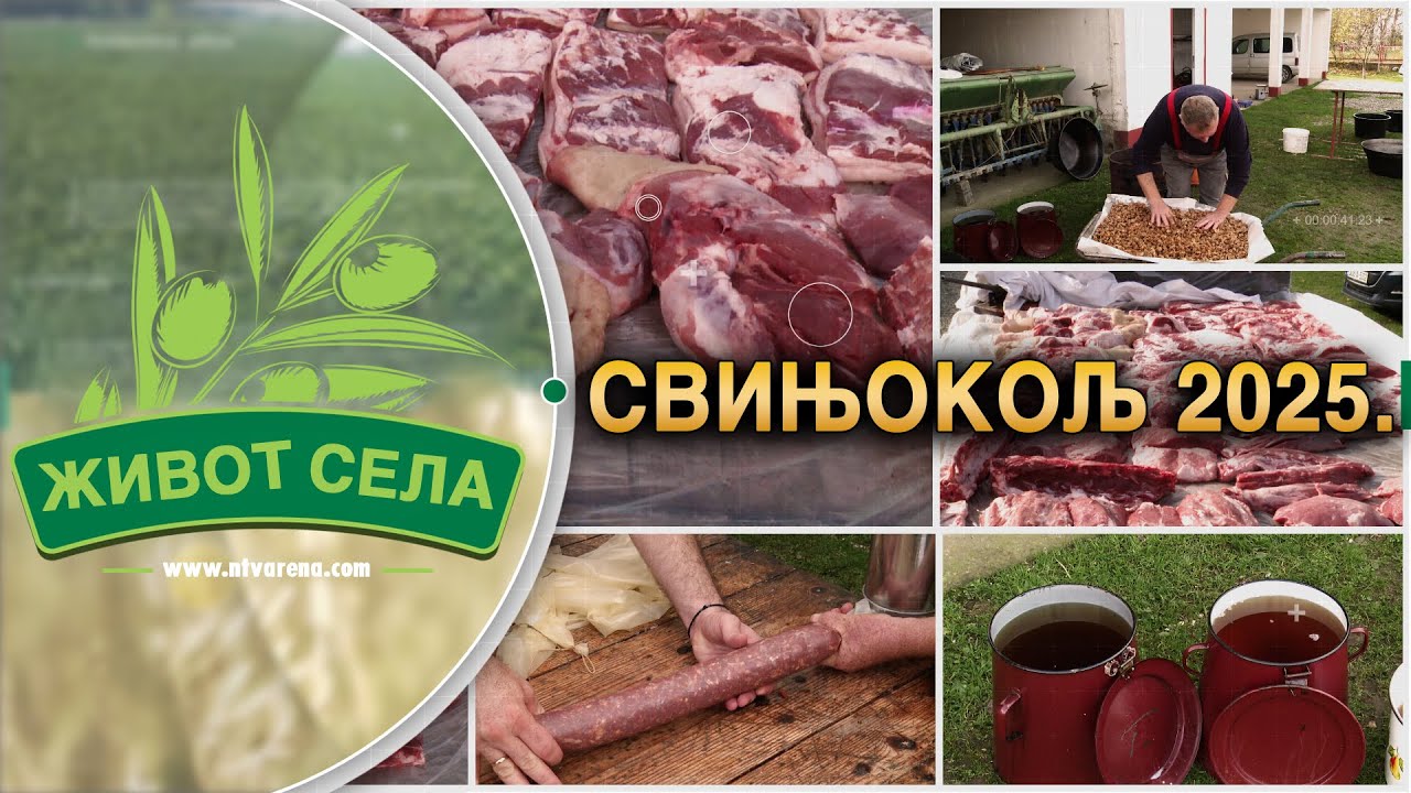 U jeku tradicionalni svinjokolj, uprkos izazovima u selima se sprema bogata zimnica od mesa