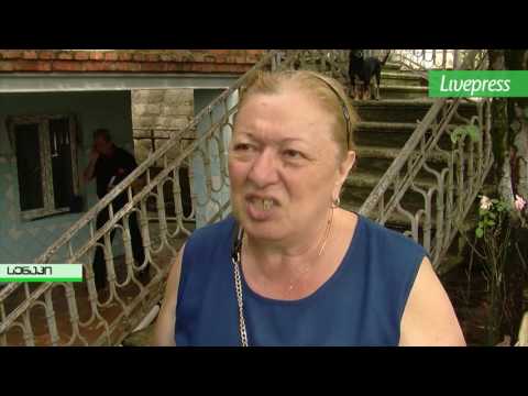 სტიქია სენაკში