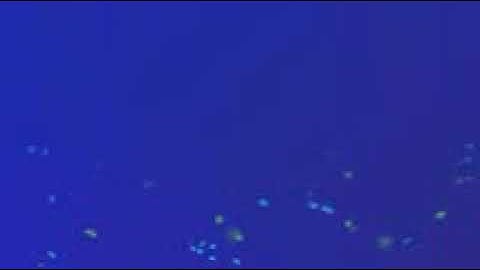 سورة الذاريات بصوت الشيخ القارئ فارس عباد