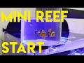 mini reef 50 | start | september