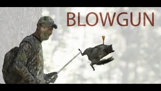 Blowgun Squirrels, Tim Wells, Deadly Shots