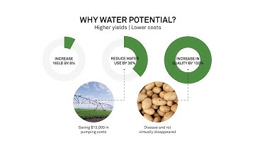 Why Water Potential?