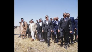 رئيس مجلس الوزراء  يزور إحدى مزارع محافظة واسط ويطّلع على عمليات الحصاد