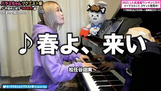 ハラミちゃん春よ来い松任谷由実20211101作業用Bgm