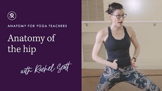 Learn Yoga Anatomy Anatomy Of The Hip