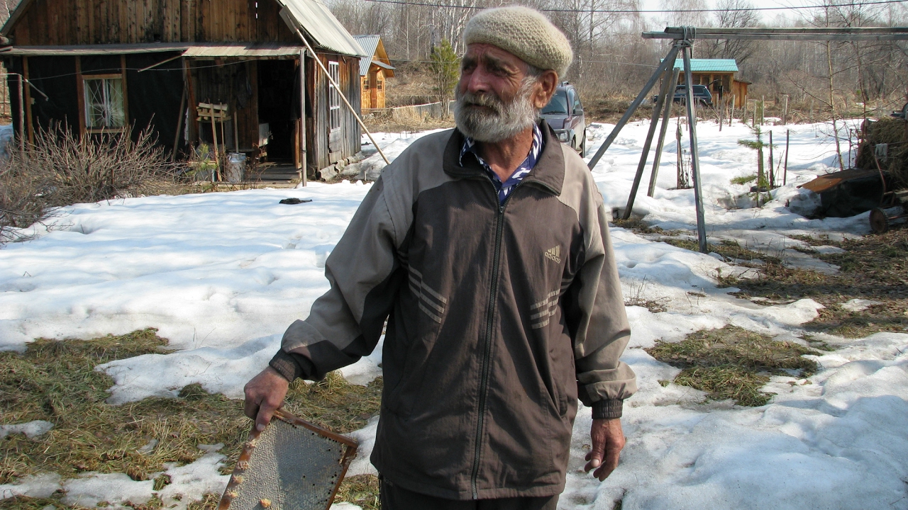 учебная пасека тимирязевской академии. скалеух илья петрович.