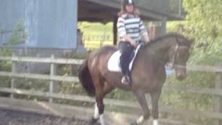 Flatwork on Harvey 2