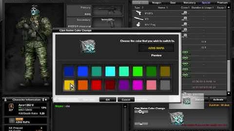 Combat Arms-Clan Color Name Change