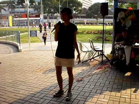 tao yan - suern 2009