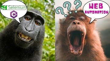 Mastering Chromedriver Initialization: The Ultimate Method You