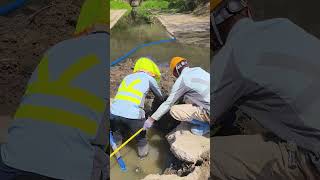 No Comment malaagatha ichacellow djgemoy  brewog bojokunakal remix dj konser