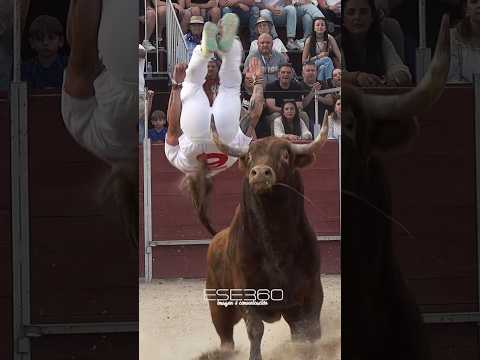 🚀 SALTO INCREÍBLE A UN TORO BRAVO #bull #toros #tricks #jump