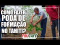 Como Fazer PODA de Formação no TAHITI?