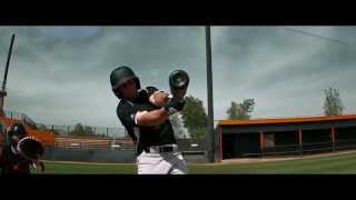 Easton Disruptors - Z-Core Baseball Bats