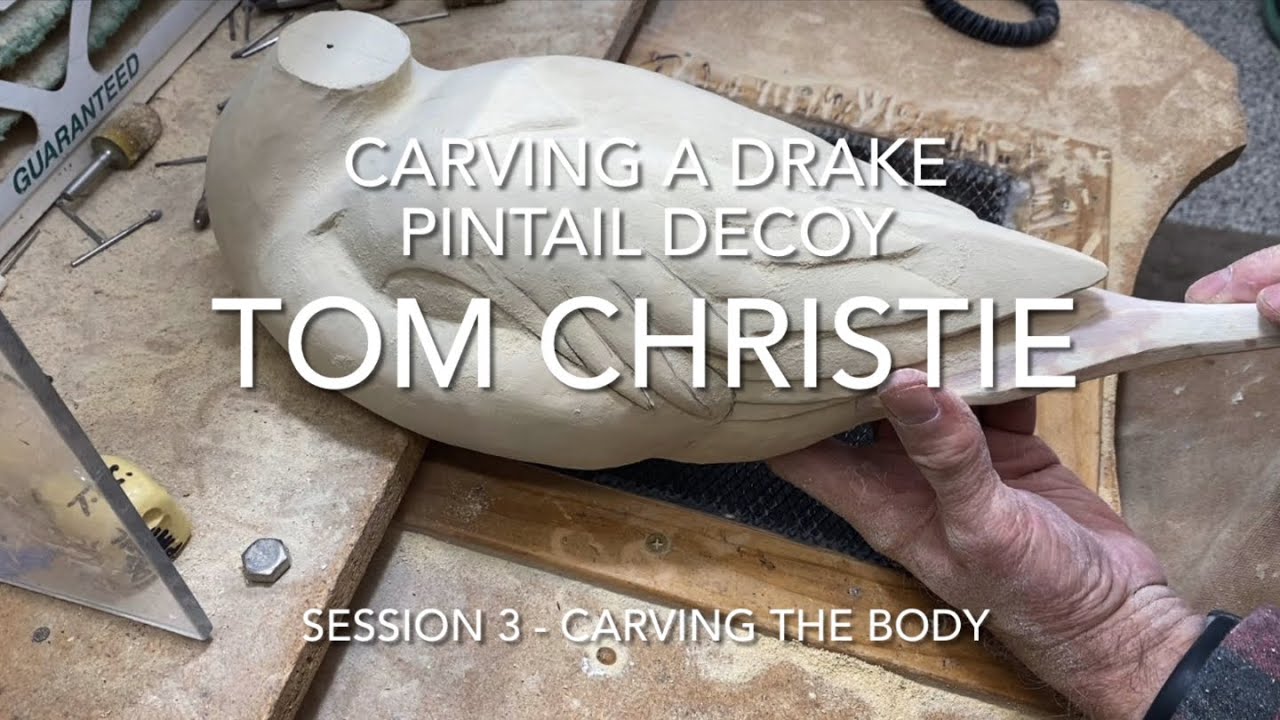 Вырезание шилохвоста селезня. Занятие 3 — Вырезание тела