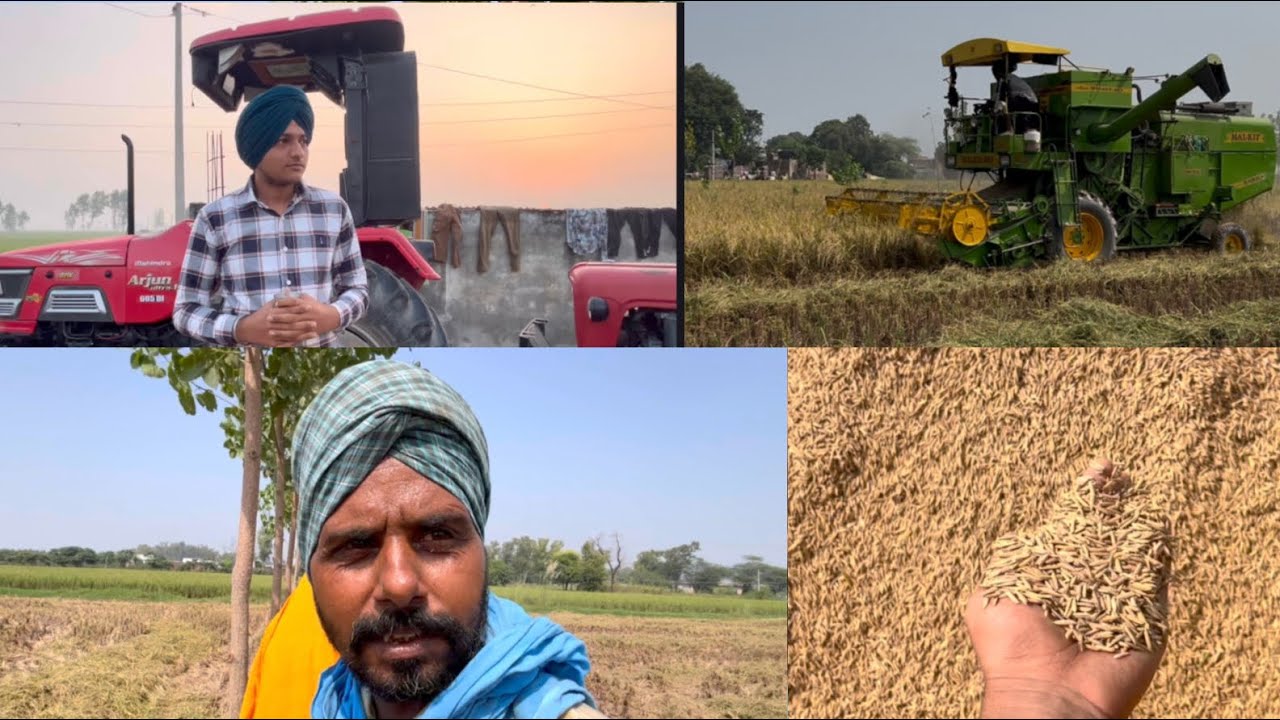 ਟਰੈਕਟਰ ਛੱਡ ਕੇ ਆਈ ਬਟਾਲੀ ਕਰਤਾ ਕੰਮ ਸਟਾਰਟ ਝੋਨੇ ਦੀ ਕਟਾਈ ਦਾ ਬਾਬੇ ਦੀ ਮਿਹਰ ਨਾਲ🌾