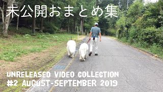 【ルンルンの裏庭】未公開おまとめ集 #2　2019年8〜9月