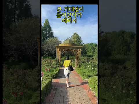 대전 당일치기 여행 2부 | 자연 만끽하고 돌아오는 힐링 트립 from 대전 | #한밭수목원 #대전 #당일치기여행 #콧바람 #shorts