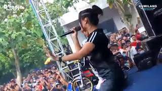 Story wa edot arisna