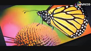 Univacoo Cold Foil Transfer-Holographic Effect - Folding Carton