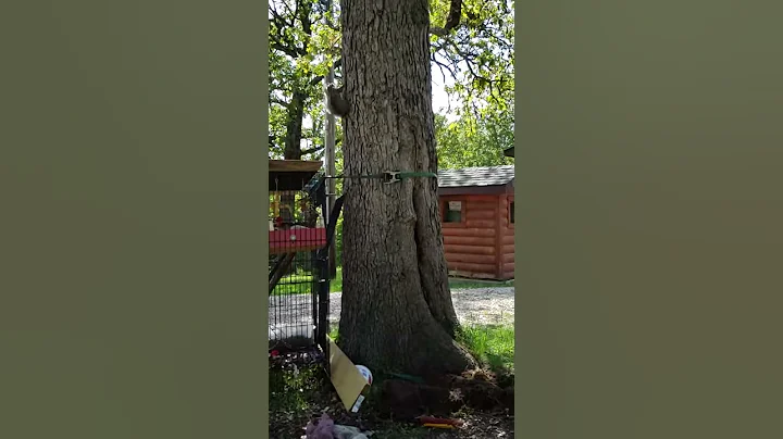First taste of freedom!