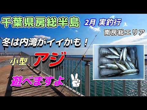 【釣行】２月 房総半島 南房総エリア アジ 投げ釣り 実釣！