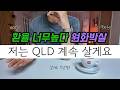 고환율에도 QLD를 계속 사 모으는 이유