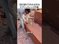 採石場で行われる石のスプリッティング作業