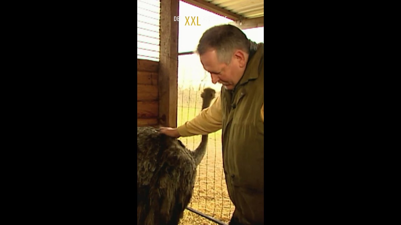 So sieht echte Handarbeit aus. #DerXXLOstfriese jetzt bei #Sky.