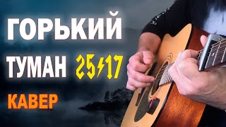 25/17 Горький туман кавер на гитаре