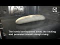 PlusSteam The Crispiest Crust Electrolux Oven PlusSteam The Crispiest Crust Electrolux Oven