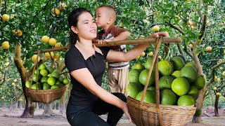 Harvesting Grapefruit to Sell at the Market | Simple & Delicious Chicken Noodle Meal