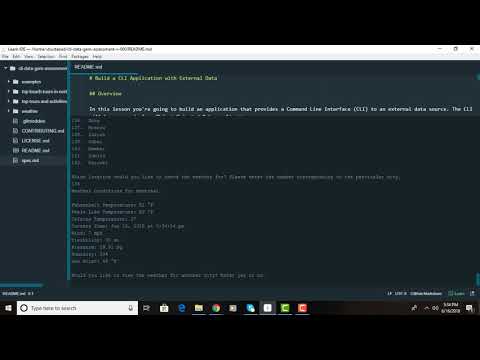 CLI Data Gem Project Walkthrough Video