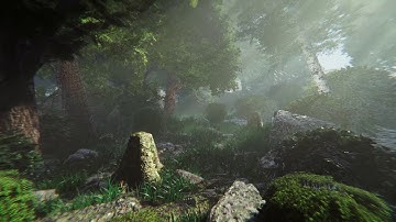 Realistic Forest tree pack Unity HDRP Grab it on asset store link in description.