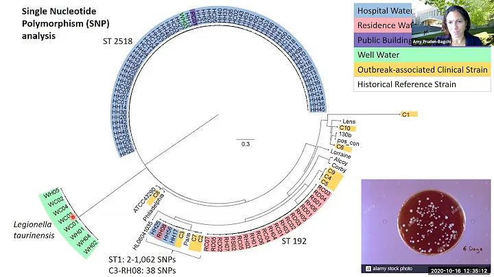 VTLSS: Advancing Next Generation DNA Sequencing fo...
